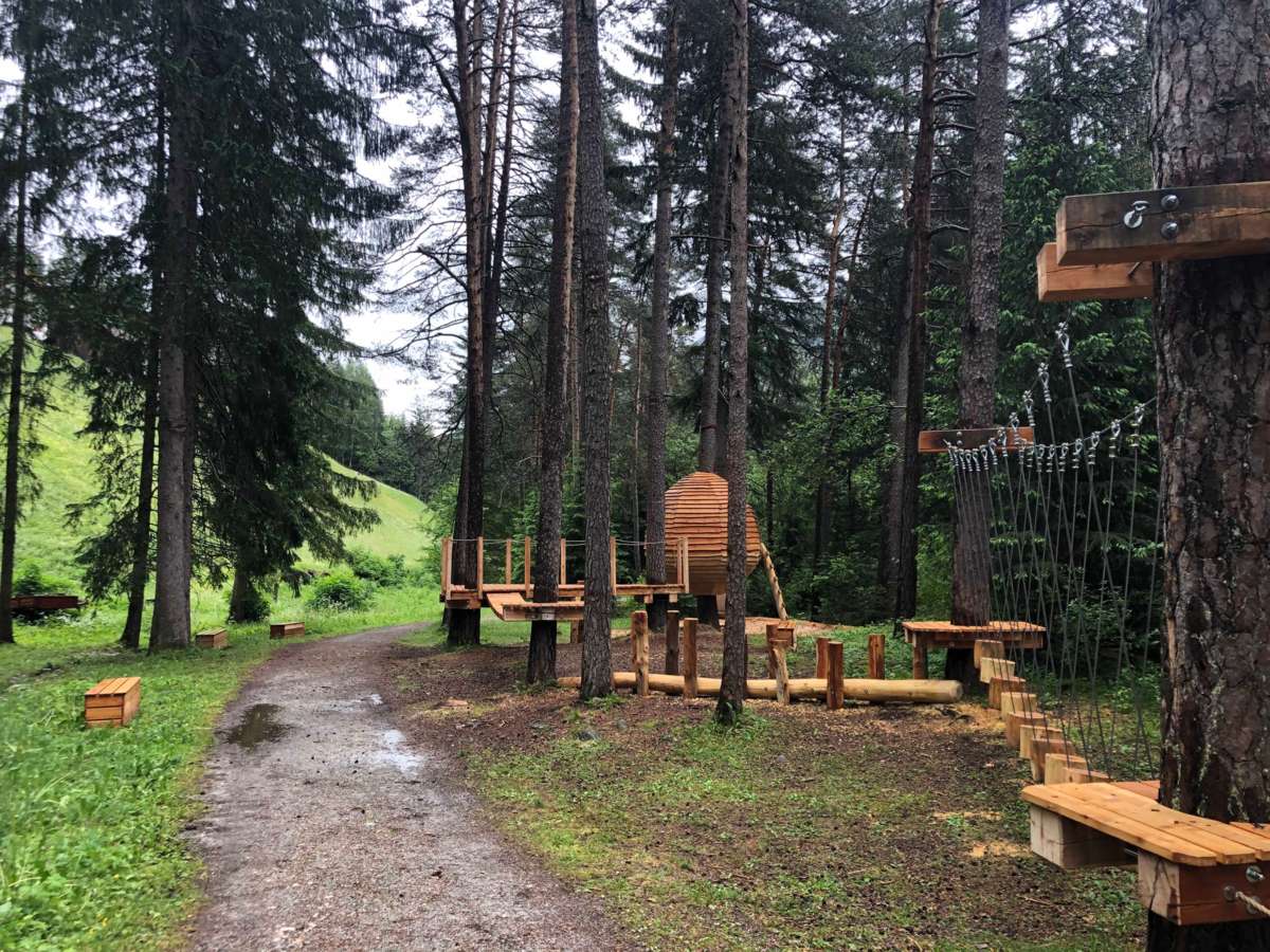 home:Tropfenbaumhaus NiedrigseilgartenIMG_9923.jpg