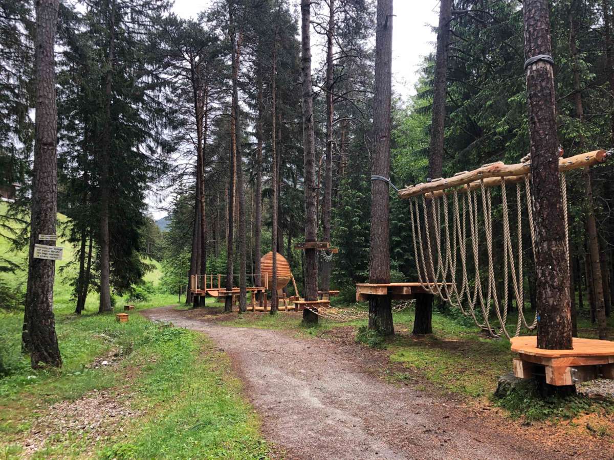 home:Tropfenbaumhaus NiedrigseilgartenIMG_9926.jpg