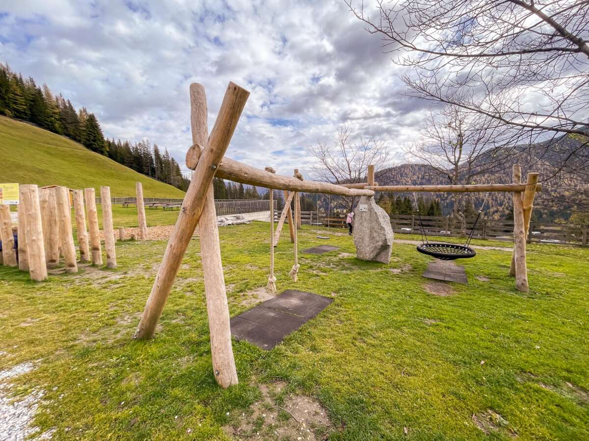 Waldrast 2022_08IMG_3497 2.jpg