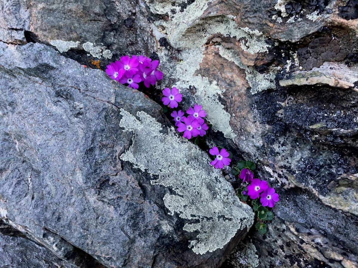 Hianerspiel Inspektion 21:06IMG_1568.jpg