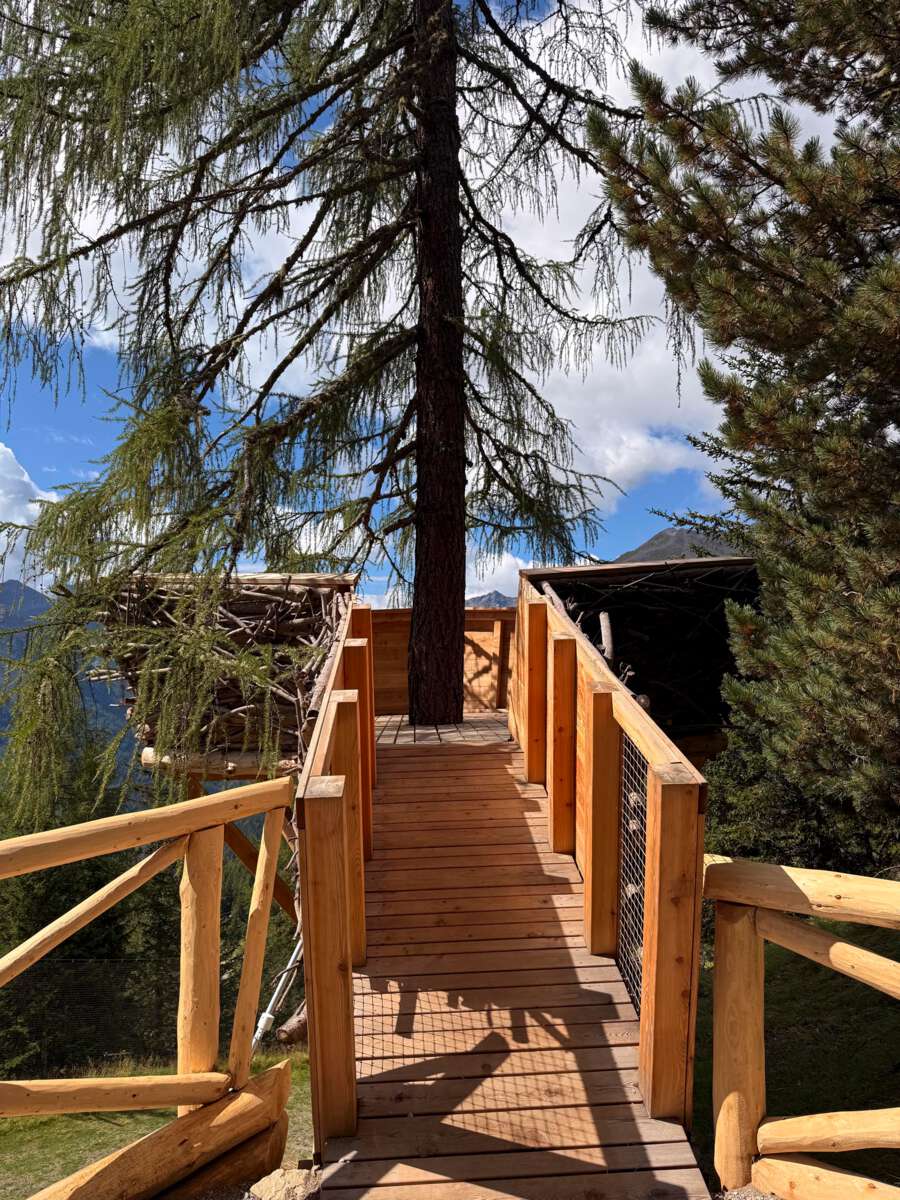 Adlernest_peio 2025IMG_9147.jpg