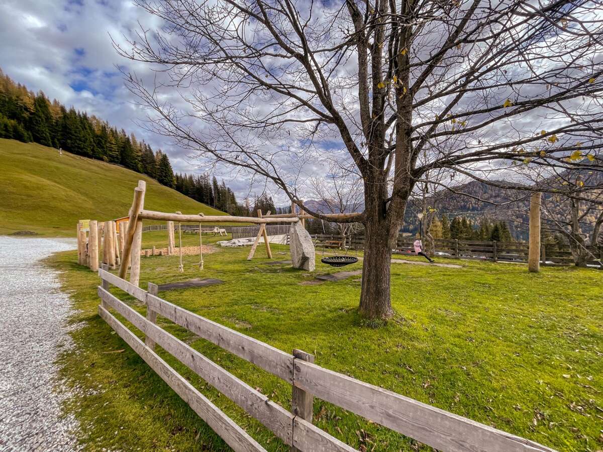 Waldrast 2022_08IMG_3496.jpg