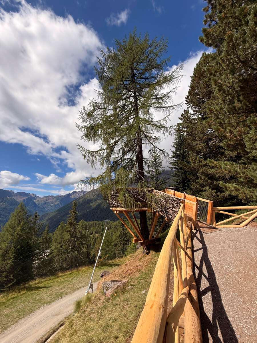 Adlernest_peio 2025IMG_9154.jpg