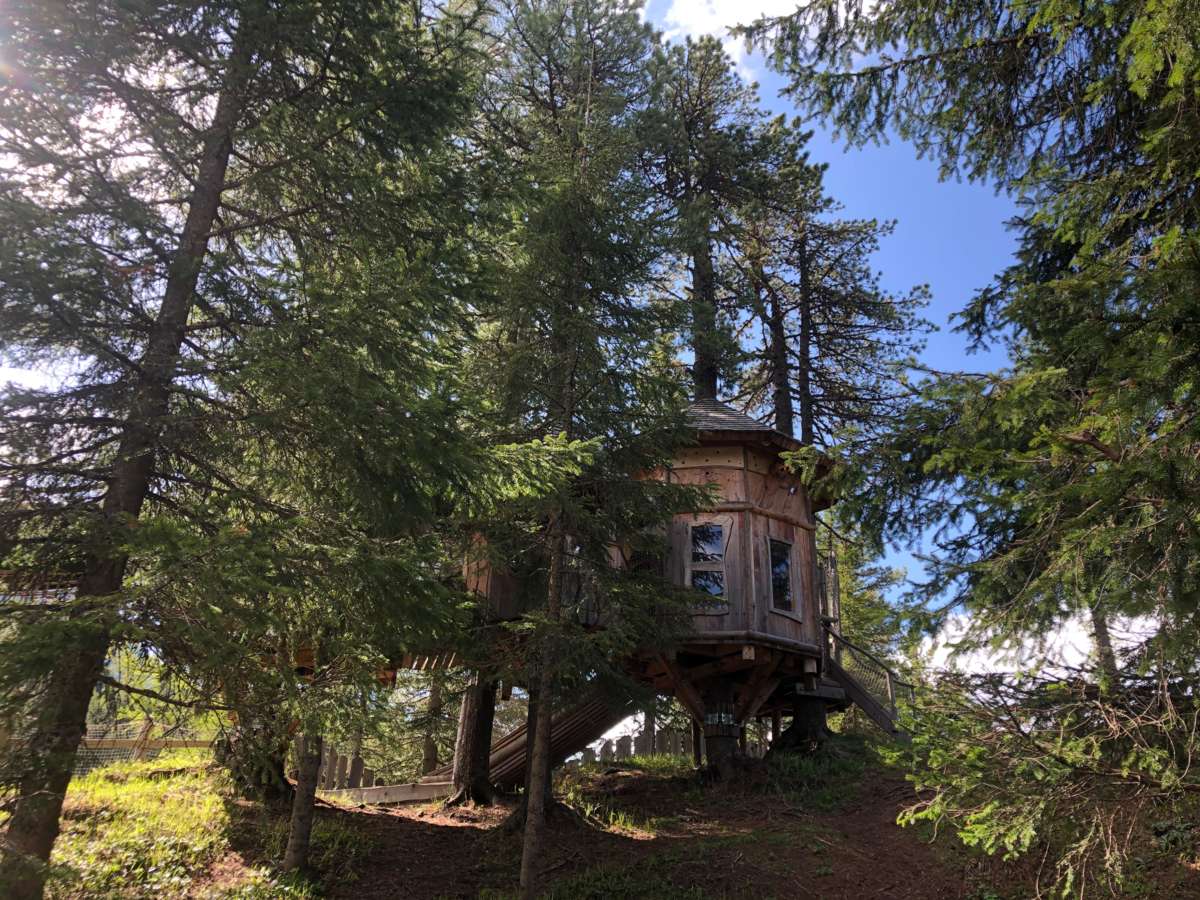 HochschoberTropfenbaumhaus NiedrigseilgartenIMG_9905.jpeg